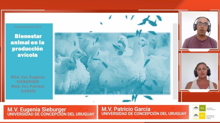 Mejorando la Higiene en Veterinaria Rural y Granjas