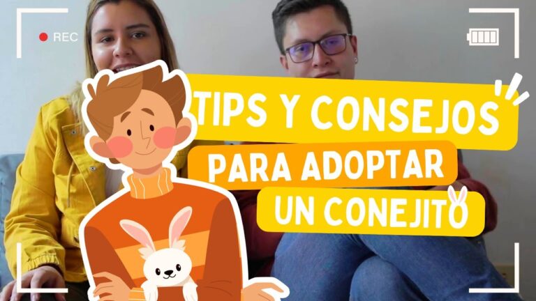 Gu&iacute;a para Adoptar Conejitos como Mascotas