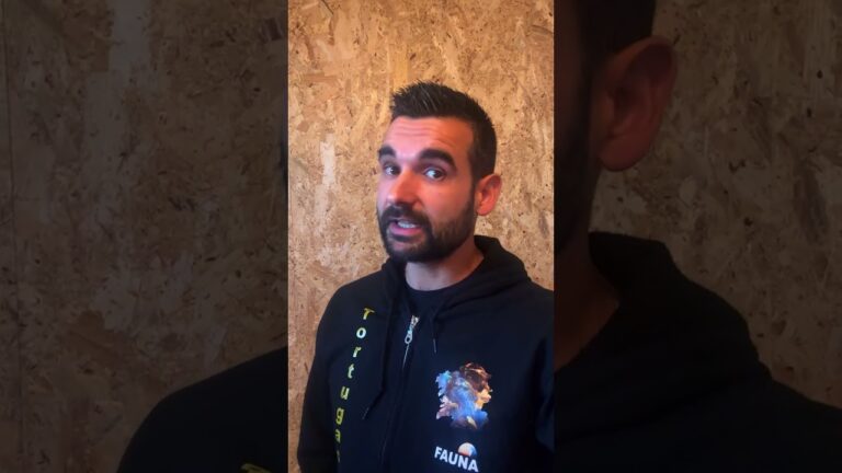 Bienestar y Diversi&oacute;n de Reptiles como Mascotas