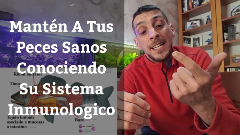 Cuidado Nutricional de Peces en Acuarios: Gu&iacute;a Esencial