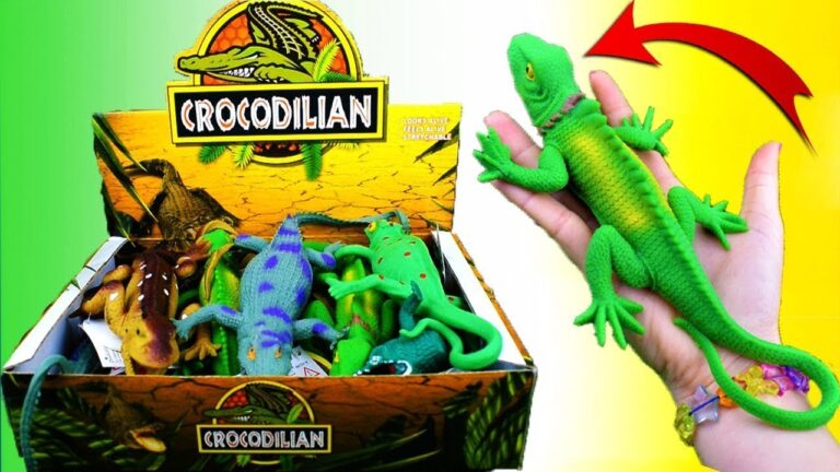 Reptiles en Casa: Juguetes y Entretenimiento Esencial