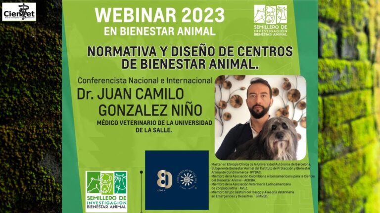Normativas Efectivas para la Protecci&oacute;n Animal en Refugios