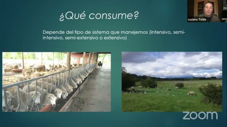 Prevenci&oacute;n de Zoonosis a trav&eacute;s del Manejo Adecuado de Animales de Granja