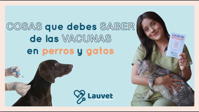 Gu&iacute;a Esencial sobre la Vacunaci&oacute;n de Mascotas