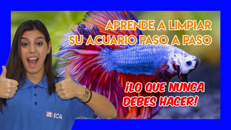 Consejos Esenciales para la Higiene y Aseo del Acuario