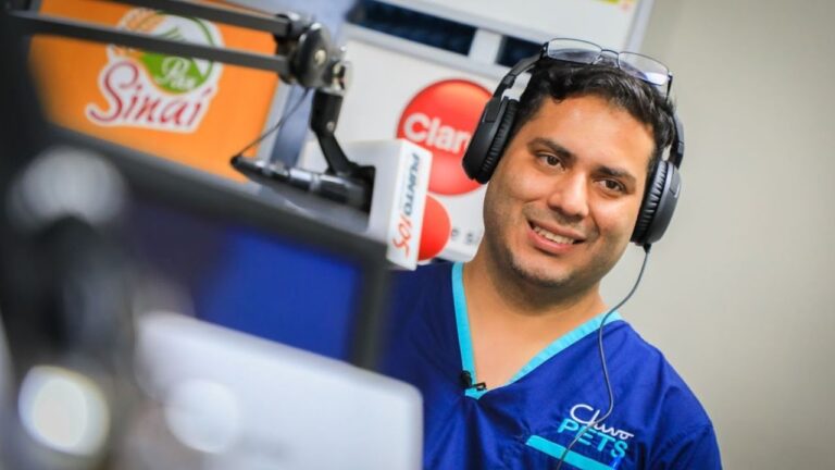 Cirug&iacute;as Salvadoras en Emergencias para Animales