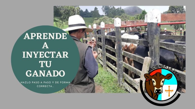 Estrategias Efectivas para la Desparasitaci&oacute;n Preventiva en Animales Salvajes