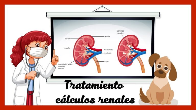 Vida Saludable: Prevenci&oacute;n de Enfermedades Renales en Mascotas