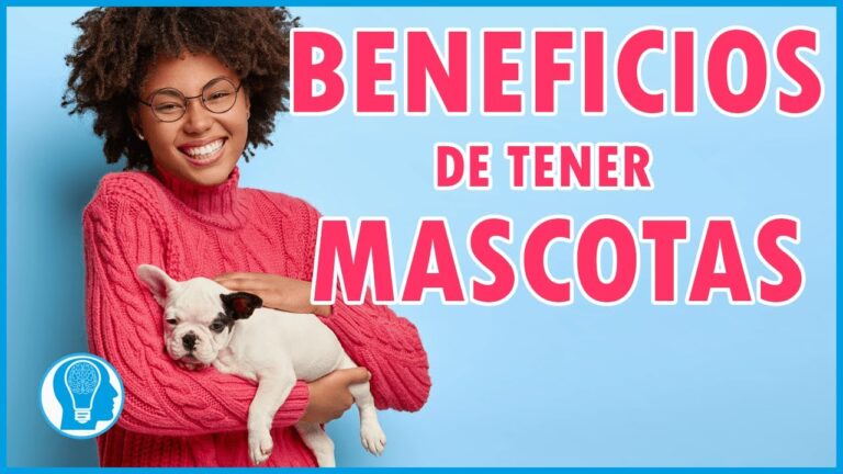 La Psicolog&iacute;a Animal: Clave para el Cuidado de Mascotas