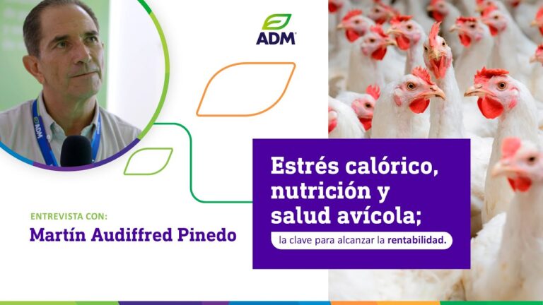 Consejos Esenciales para la Reproducci&oacute;n Responsable de Aves