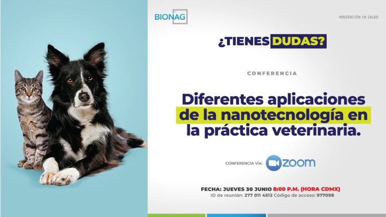 Avances en Innovación de Tratamientos y Medicamentos para Animales