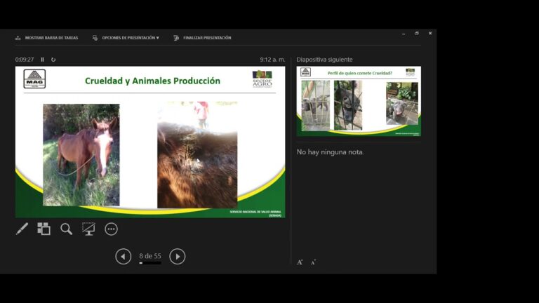 Bienestar Animal y &Eacute;tica en la Pr&aacute;ctica Veterinaria