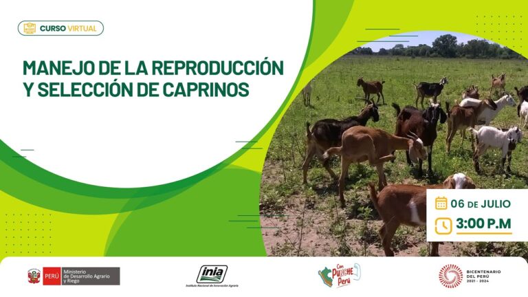 Herramientas Efectivas para Evaluar la Reproducción Animal