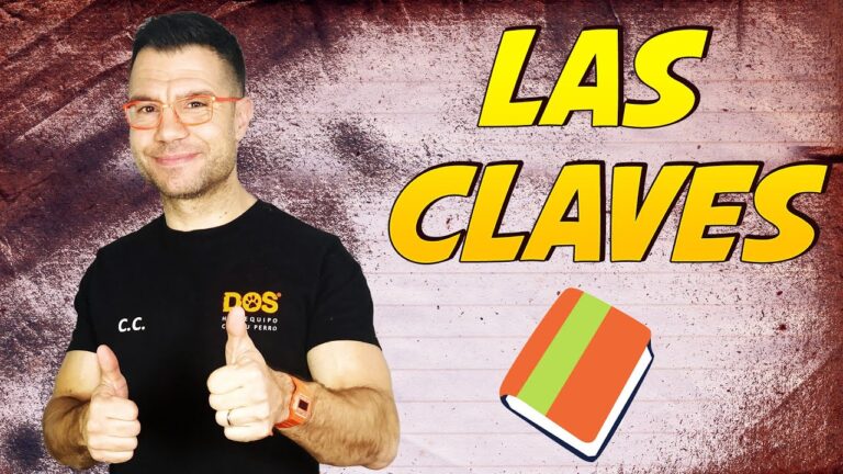 Consejos Efectivos para la Correcci&oacute;n de Conducta en Mascotas