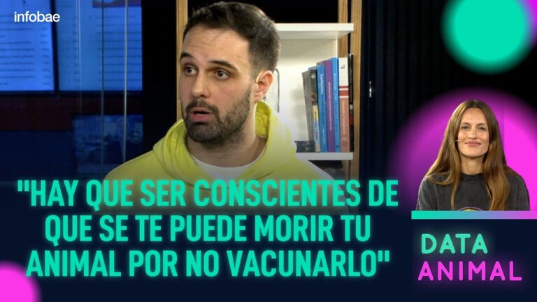Veterinaria y Vacunación: Fundamentales para la Salud Animal
