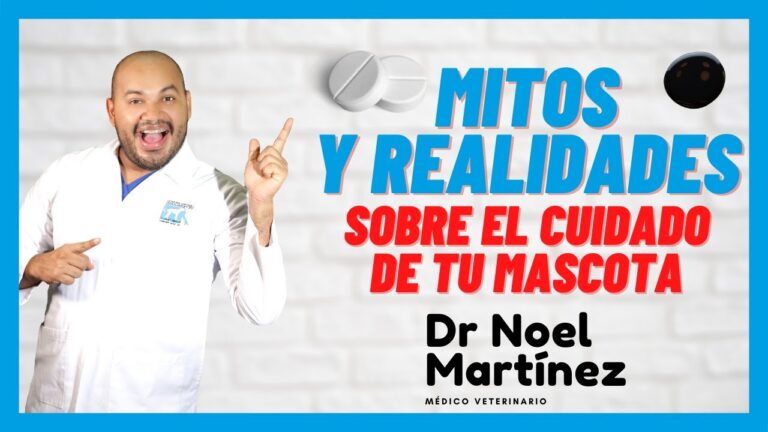 Mitos y Realidades del Control de Pulgas