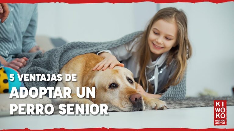 Beneficios de Adoptar Mascotas en la Familia