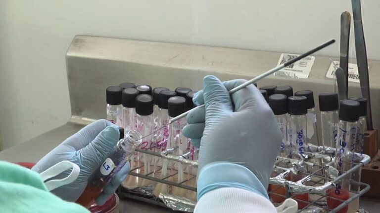 Estrategias Efectivas para la Prevenci&oacute;n de Enfermedades en Animales de Granja