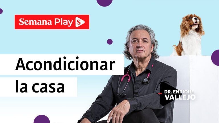 Recomendaciones para la Adaptaci&oacute;n al Adoptar Animales