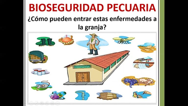 Mejorando la Higiene en Instalaciones de Reproducci&oacute;n Animal