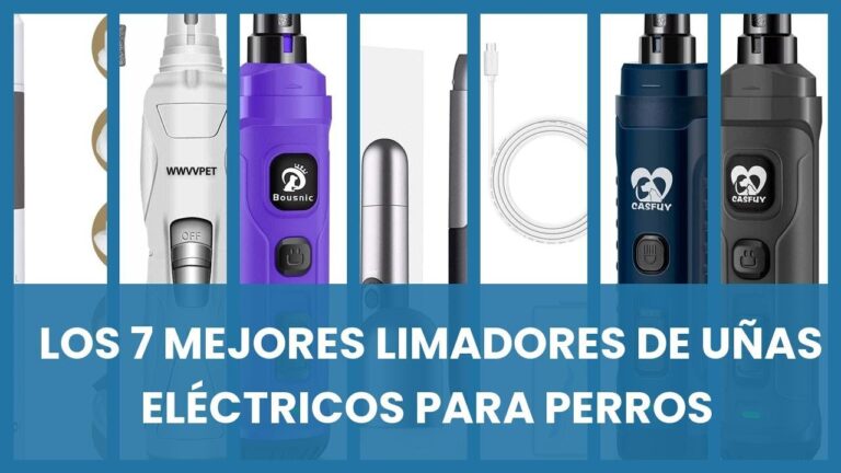 Herramientas Esenciales para el Cuidado de Mascotas: Cortau&ntilde;as y Limas