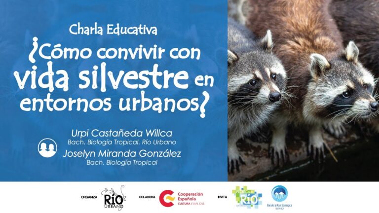Legislaci&oacute;n Animal y Bienestar en Entornos Urbanos