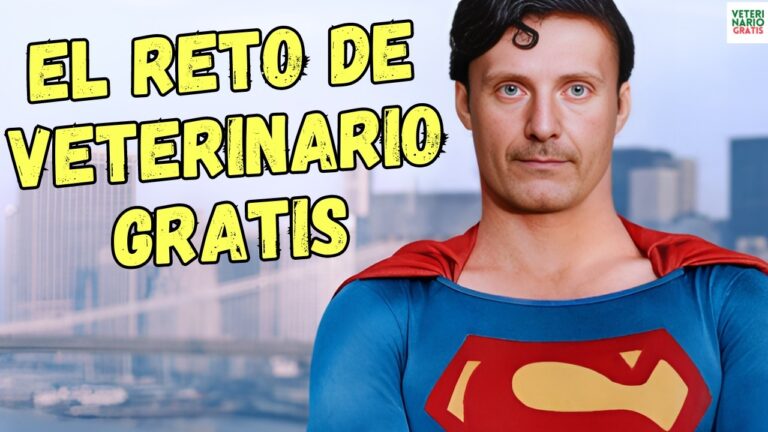 Consejos de Veterinarios para Prevenir Enfermedades Comunes en Animales