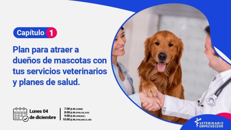 Consejos de Veterinarios para el Cuidado de Mascotas
