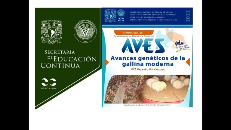 Innovaciones Transformadoras en la Medicina Veterinaria Moderna