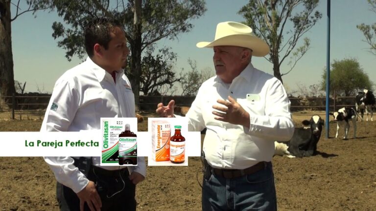 Suplementos Efectivos para Optimizar la Cr&iacute;a de Animales