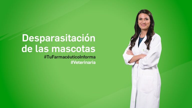 Desparasitaci&oacute;n: Esencial para el Cuidado Animal