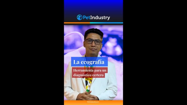 El impacto de la tecnología en la veterinaria especializada