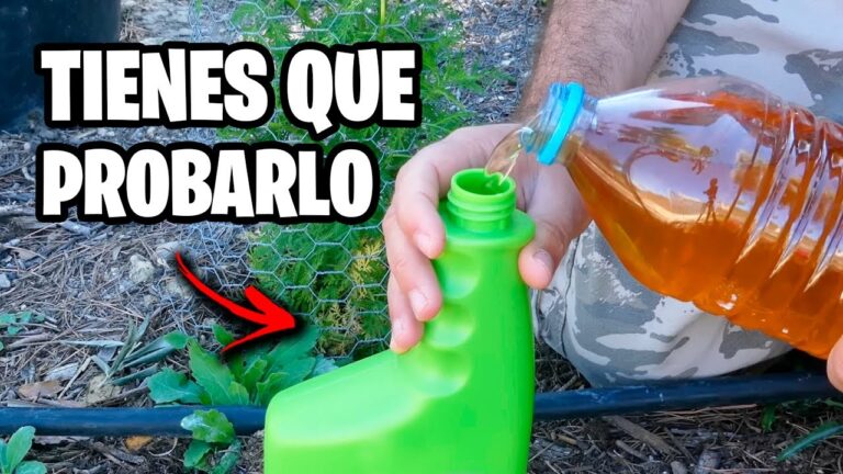 Mejores T&eacute;cnicas de Ba&ntilde;o para Hurones