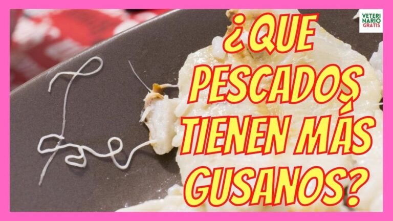 Veterinaria Especializada en Peces y Control de Par&aacute;sitos