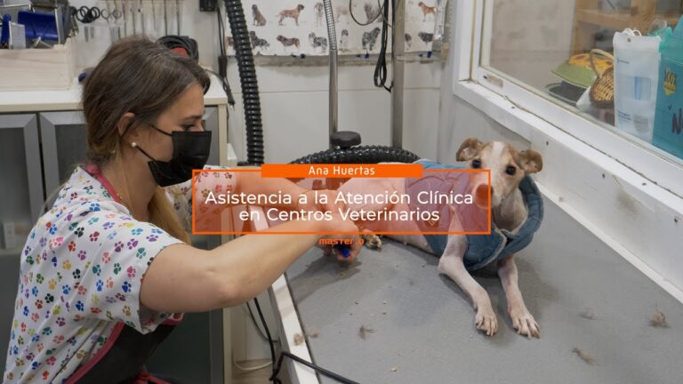 Entrevistas a Veterinarios en Situaciones Cr&iacute;ticas