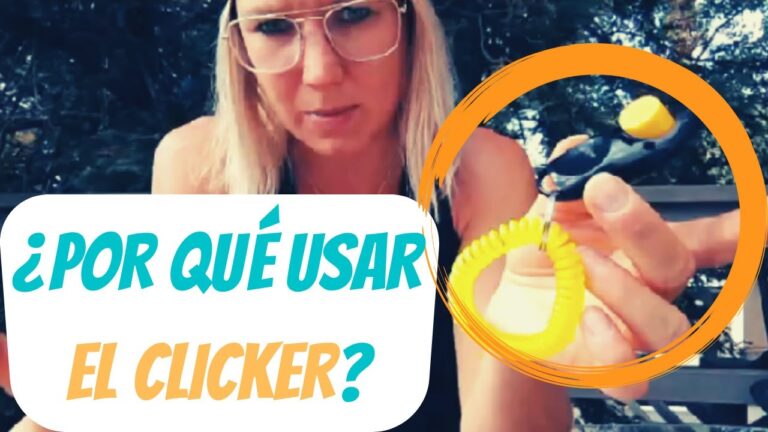 Beneficios del Clicker en el Adiestramiento de Mascotas