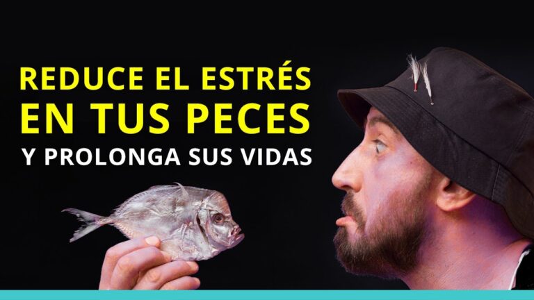 Bienestar Preventivo en Peces de Acuario