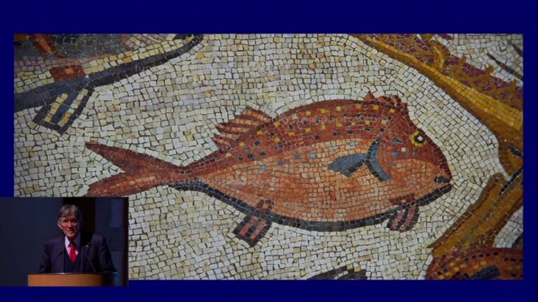 Descubriendo la Evoluci&oacute;n Animal a lo Largo de la Historia