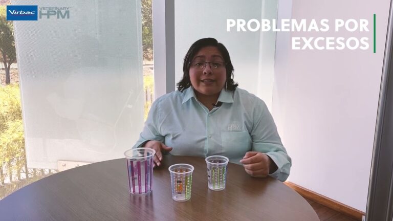 La importancia de la nutrici&oacute;n en el bienestar de las mascotas