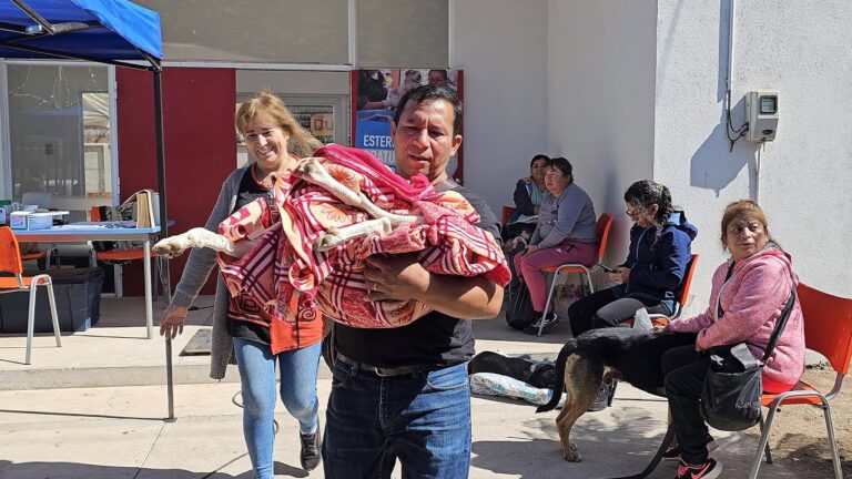 Esterilizaci&oacute;n de Perros en Veterinarios Rurales: Un Enfoque Necesario