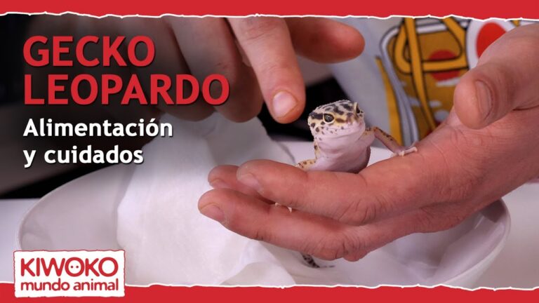 Gu&iacute;a de Par&aacute;sitos Comunes en Reptiles Dom&eacute;sticos