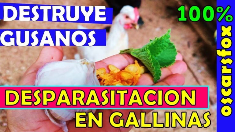 Procedimientos Efectivos para la Desparasitaci&oacute;n Segura de Animales Silvestres