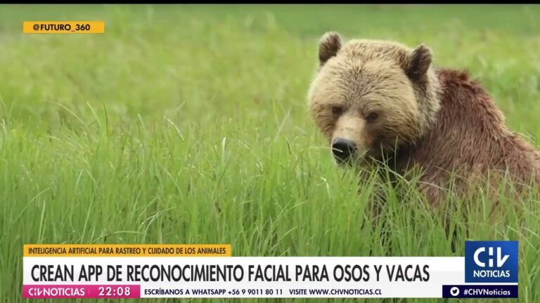 Aplicaciones de Reconocimiento Facial en Animales