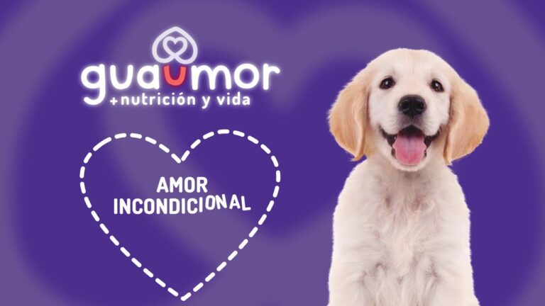 Nutrici&oacute;n Animal Espec&iacute;fica para Cachorros