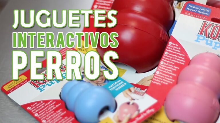 Beneficios de los Juegos Mentales en la Salud de las Mascotas