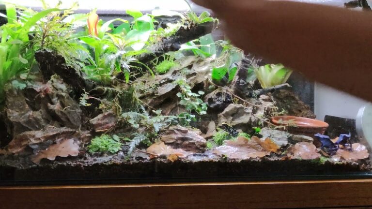 Condiciones Ideales de Temperatura y Humedad para Reptiles en Casa