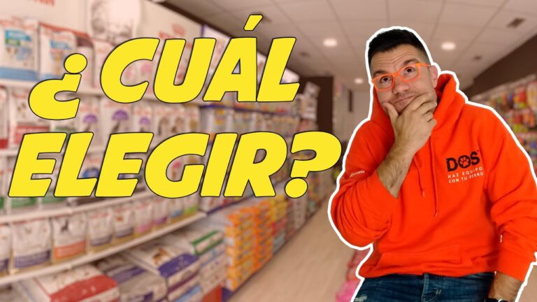 Gu&iacute;a para Elegir Productos Saludables para Mascotas