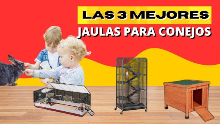 Espacio Ideal para Conejos en Jaulas: Gu&iacute;a Pr&aacute;ctica