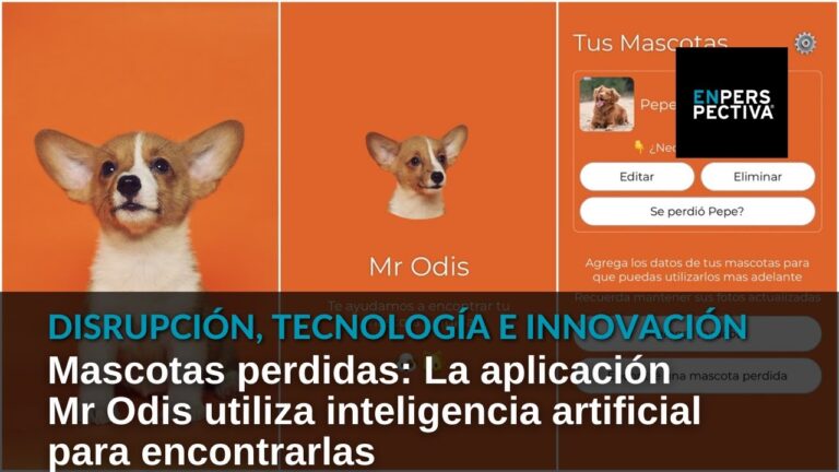 Ventajas de los corrales port&aacute;tiles para mascotas