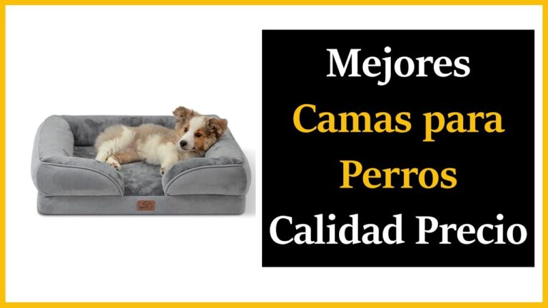 Camas Acogedoras para el Descanso Perfecto de tus Mascotas
